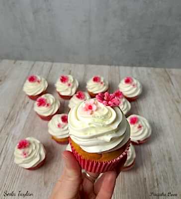 Cicekli-Cupcake