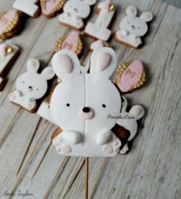 kurabiye-pucake-19