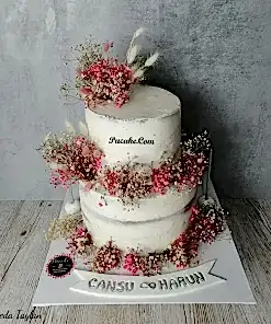 Nisan-Pastasi-Pucake