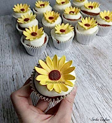 Papatya Cakepops Ankara