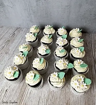 Papatya-cupcake-sıparıs2