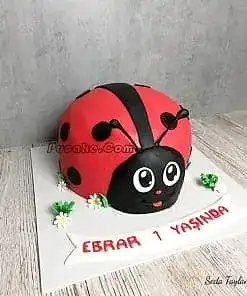 Uğur Böceği Butik Pasta