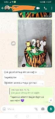 Pucake-Yorum-16