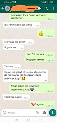 Pucake-Yorum-19