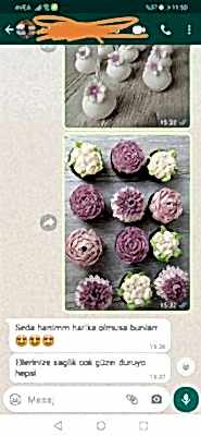 Pucake-Yorum-25