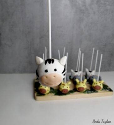 Zebra Cakepops Diyatları